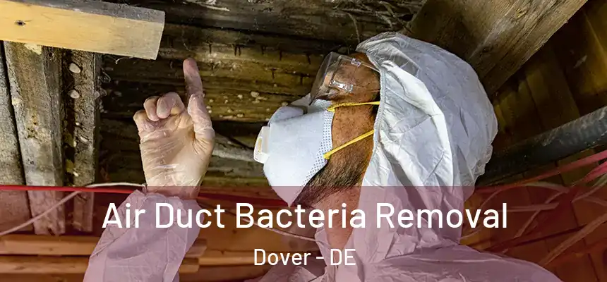 Air Duct Bacteria Removal Dover - DE