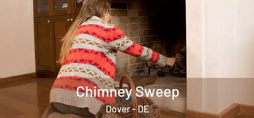 Chimney Sweep Dover - DE