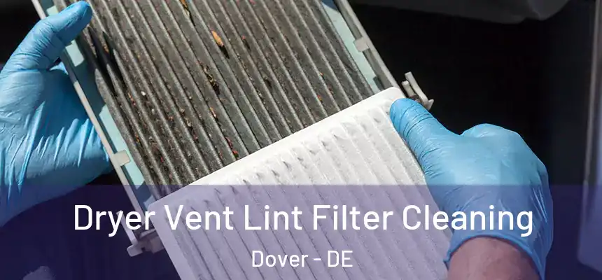 Dryer Vent Lint Filter Cleaning Dover - DE
