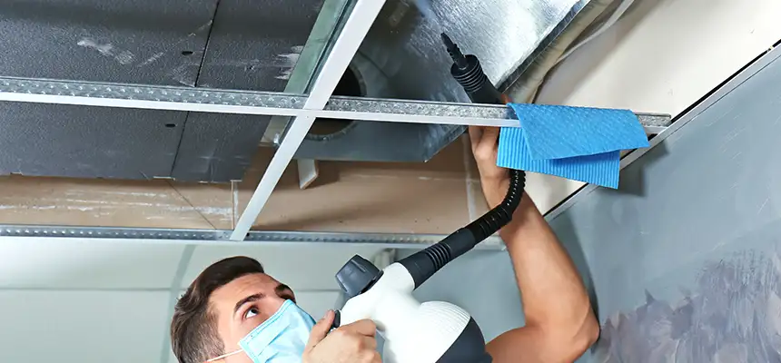 Our Air Duct Rodent Removal Services in Dover, DE