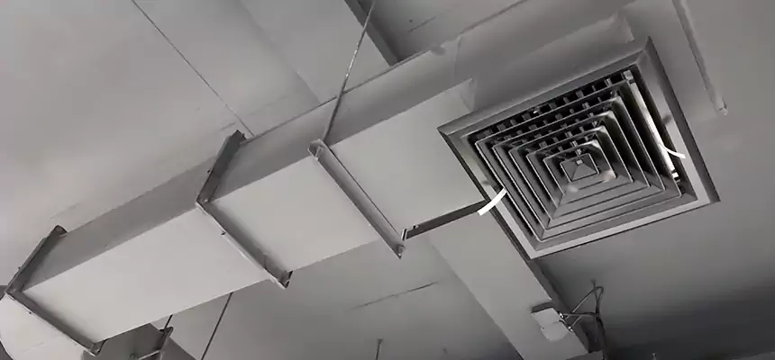 Our Pest Removal From Ducts Services in Dover, DE