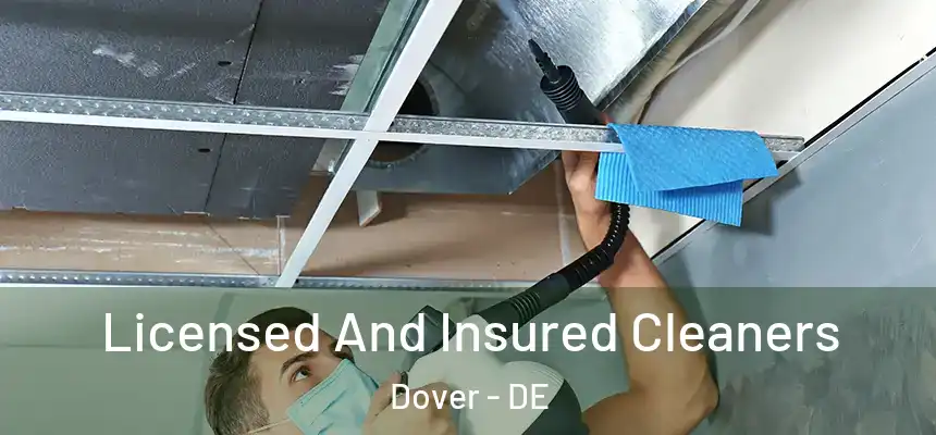 Licensed And Insured Cleaners Dover - DE