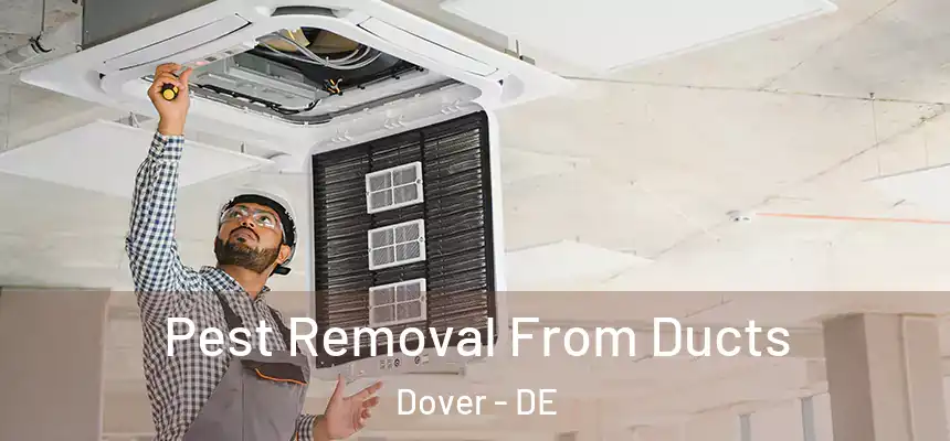 Pest Removal From Ducts Dover - DE