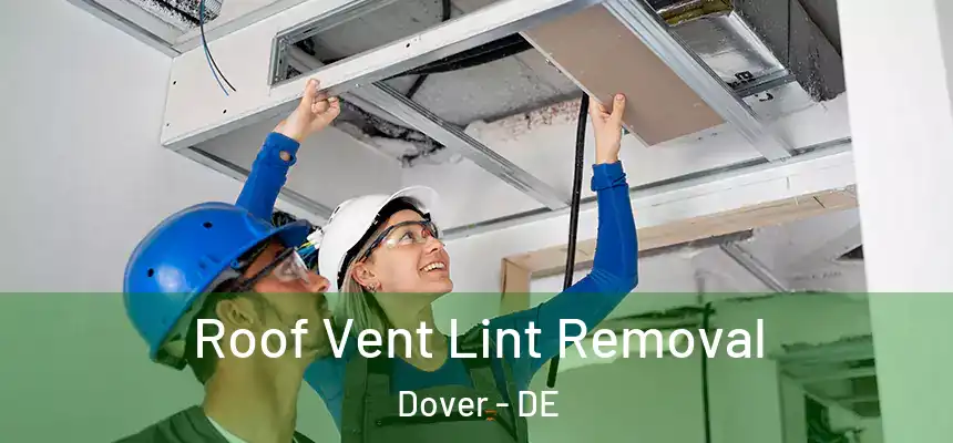 Roof Vent Lint Removal Dover - DE