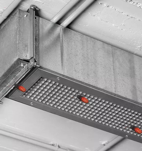 About Air Duct Cockroach Removal in Dover, DE