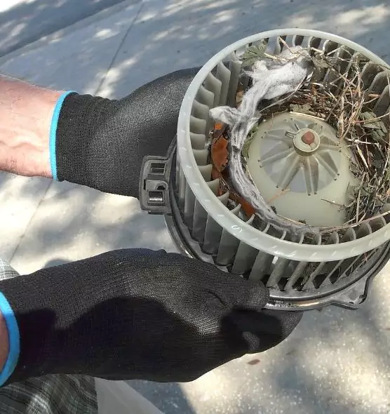 About Air Duct Rat Removal in Dover, DE