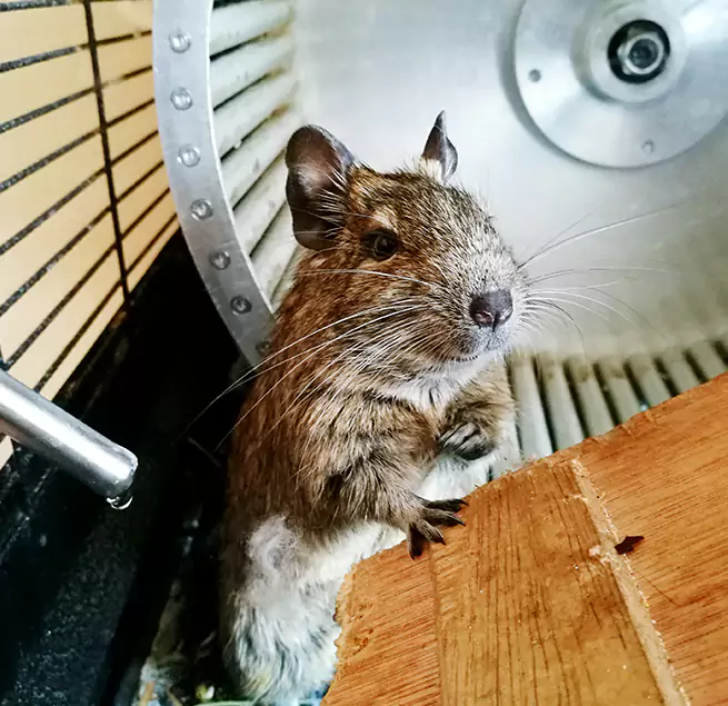 Why Homeowners & Businesses Trust Us Dover, DE