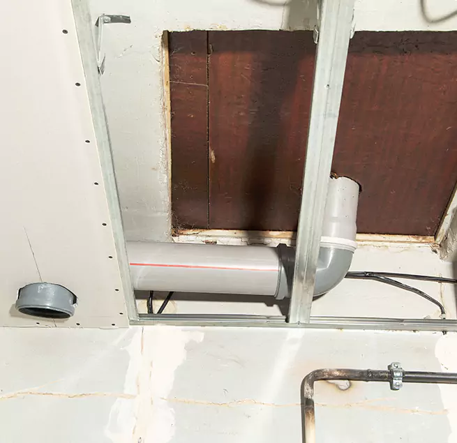 Why Homeowners & Businesses Trust Us in Dover, DE?