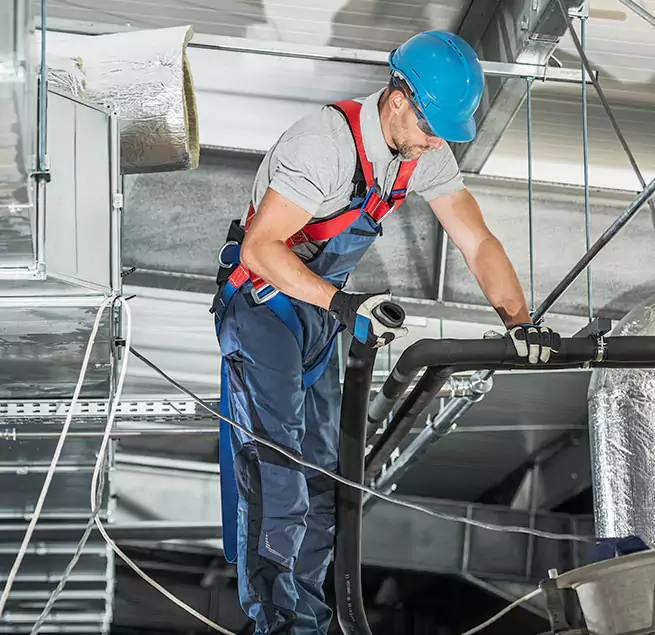 Why Homeowners & Businesses Trust Us in Dover, DE?