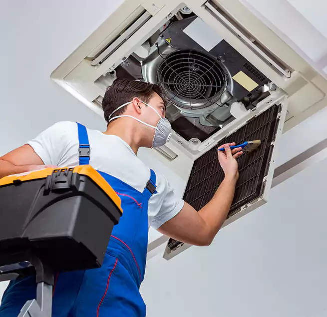 Why Homeowners & Businesses Trust Us in Dover, DE