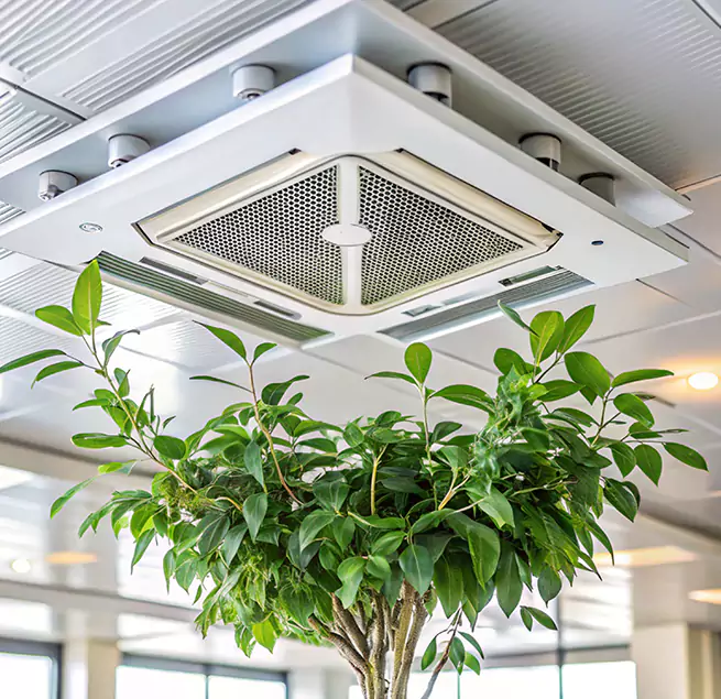 Why Homeowners & Businesses Trust Us in Dover, DE