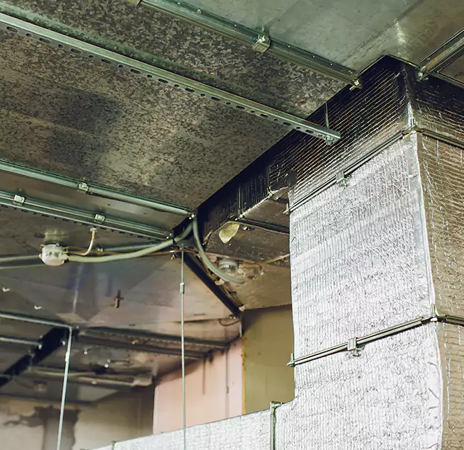 Why Homeowners & Businesses Trust Us in Dover, DE?