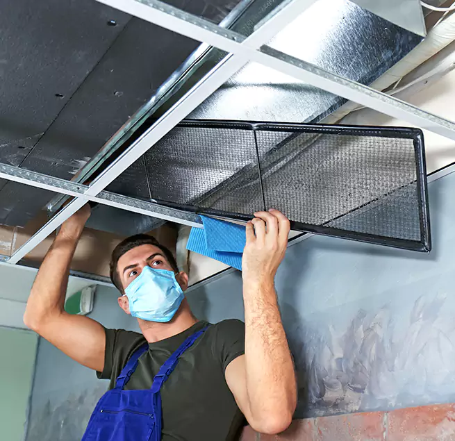 Why Homeowners & Businesses Trust Us in Dover, DE?